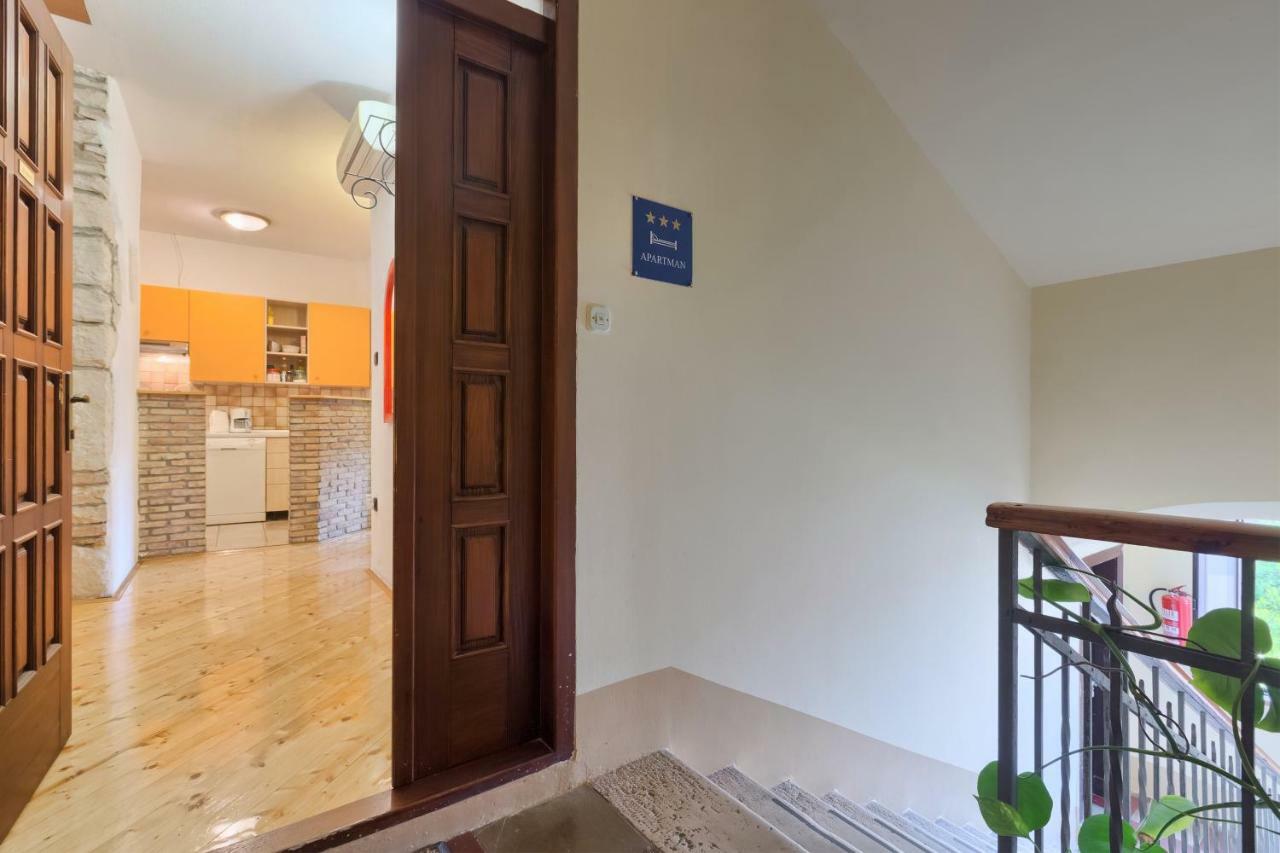 Apartment App With Arena Amphitheatre Arena Nearby